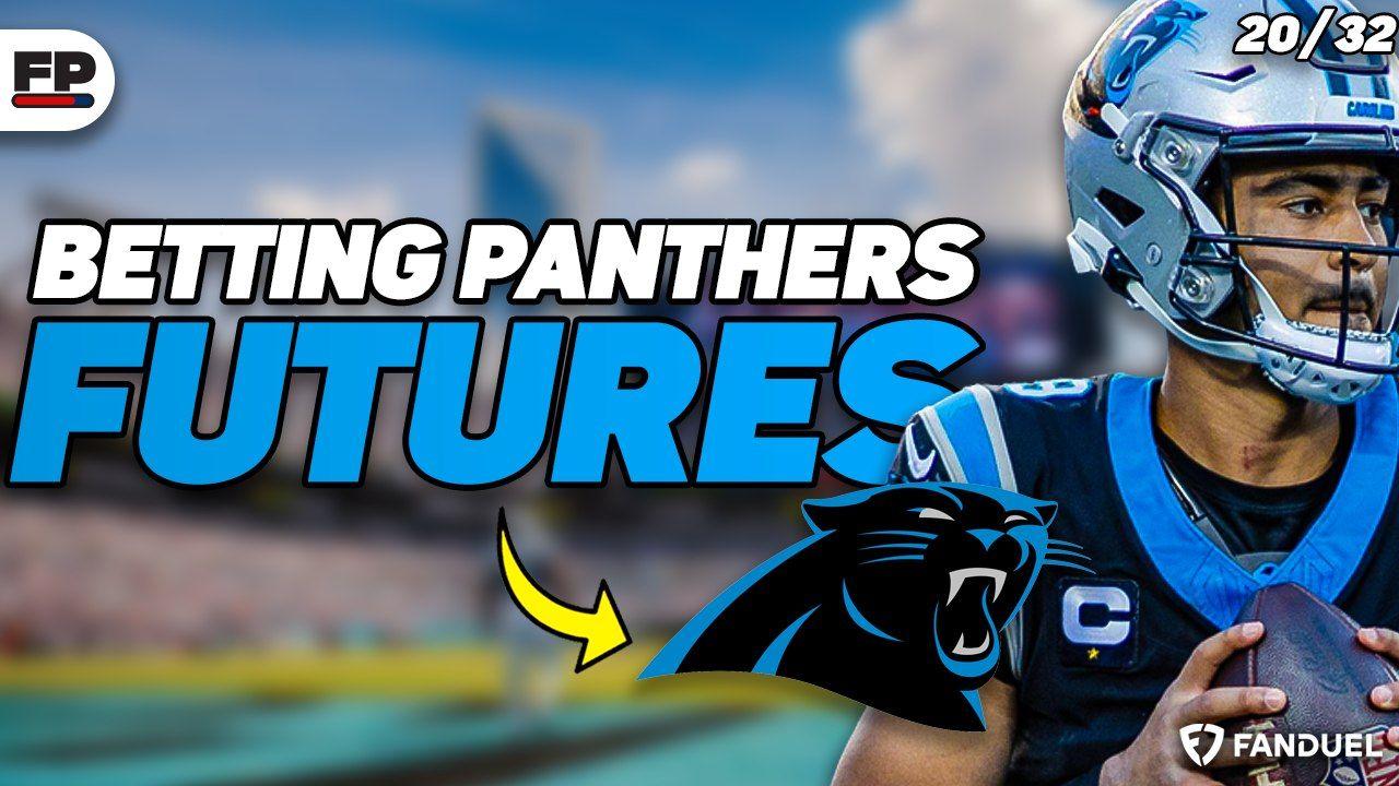 Panthers Graphic.jpg